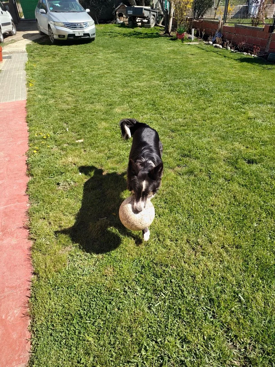 Eluney con la pelota